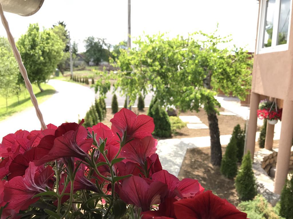 Villa Rubcic Rakovica Εξωτερικό φωτογραφία
